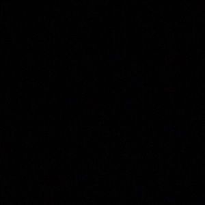 Meet your Posher, Oscar